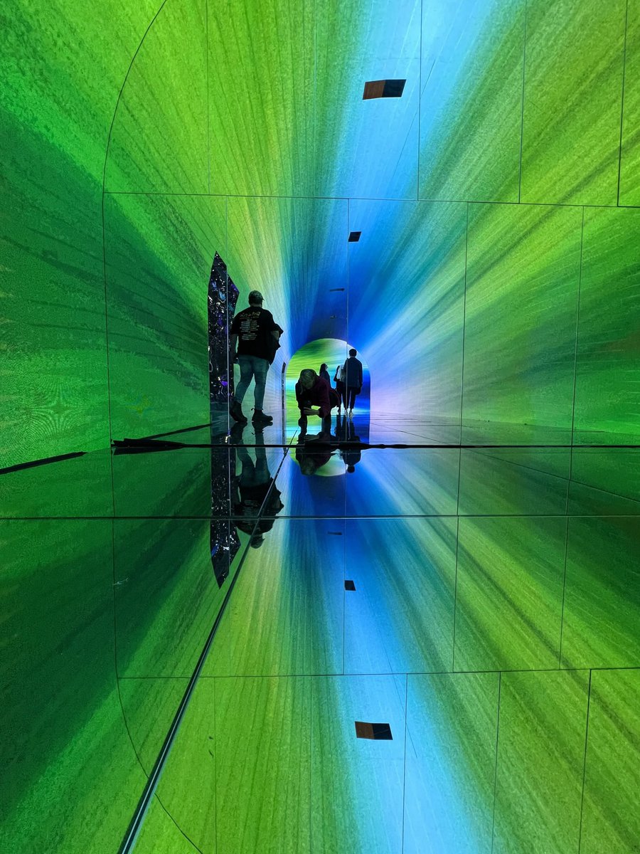 marieparr's tweet image. Today we are putting a spotlight on the color GREEN.

Share away my friends!

#Green #nature #wildlife #photographychallenge