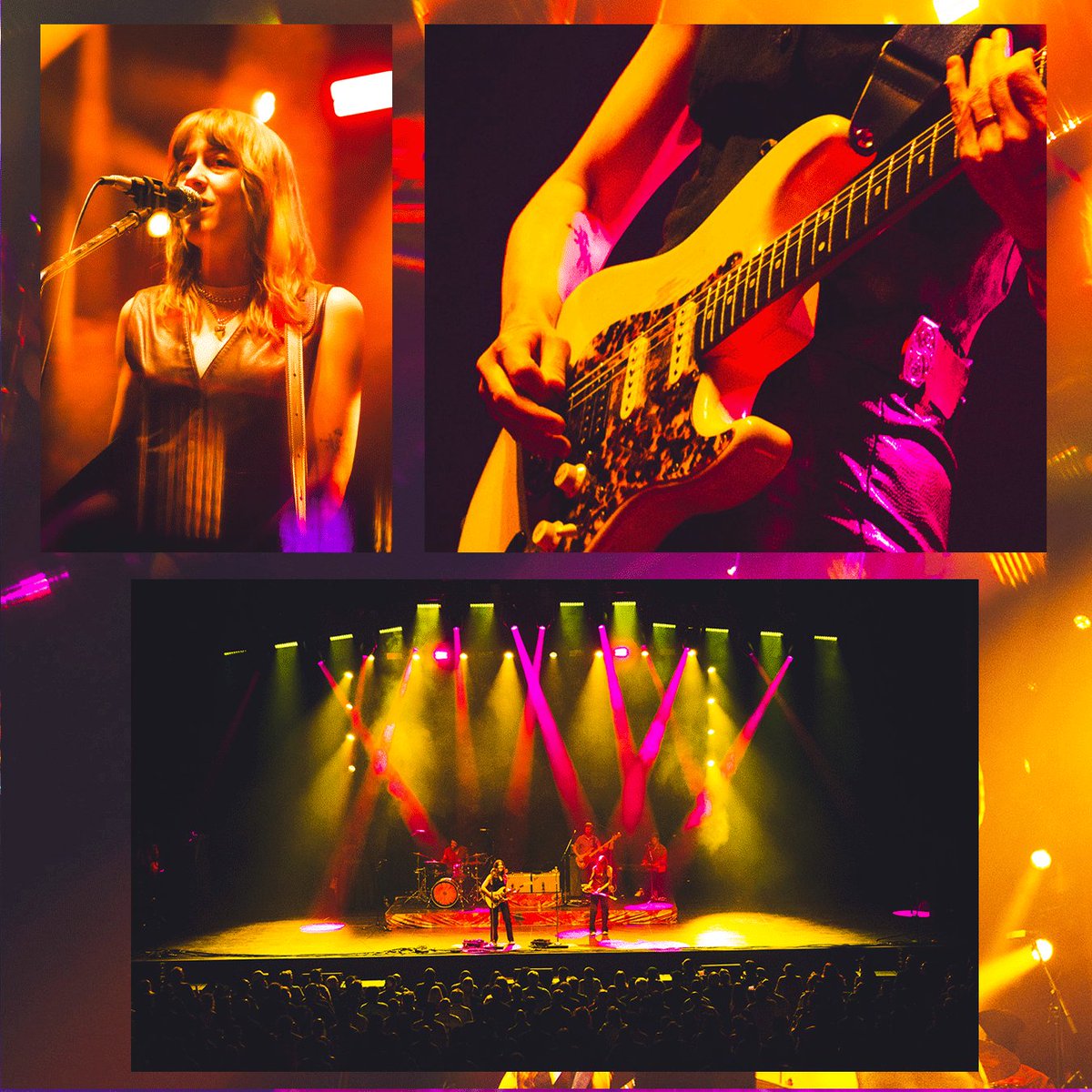 Larkin Poe tweet media