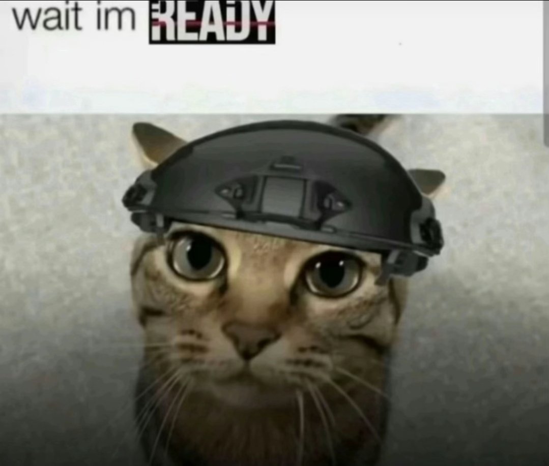 merky tweet media