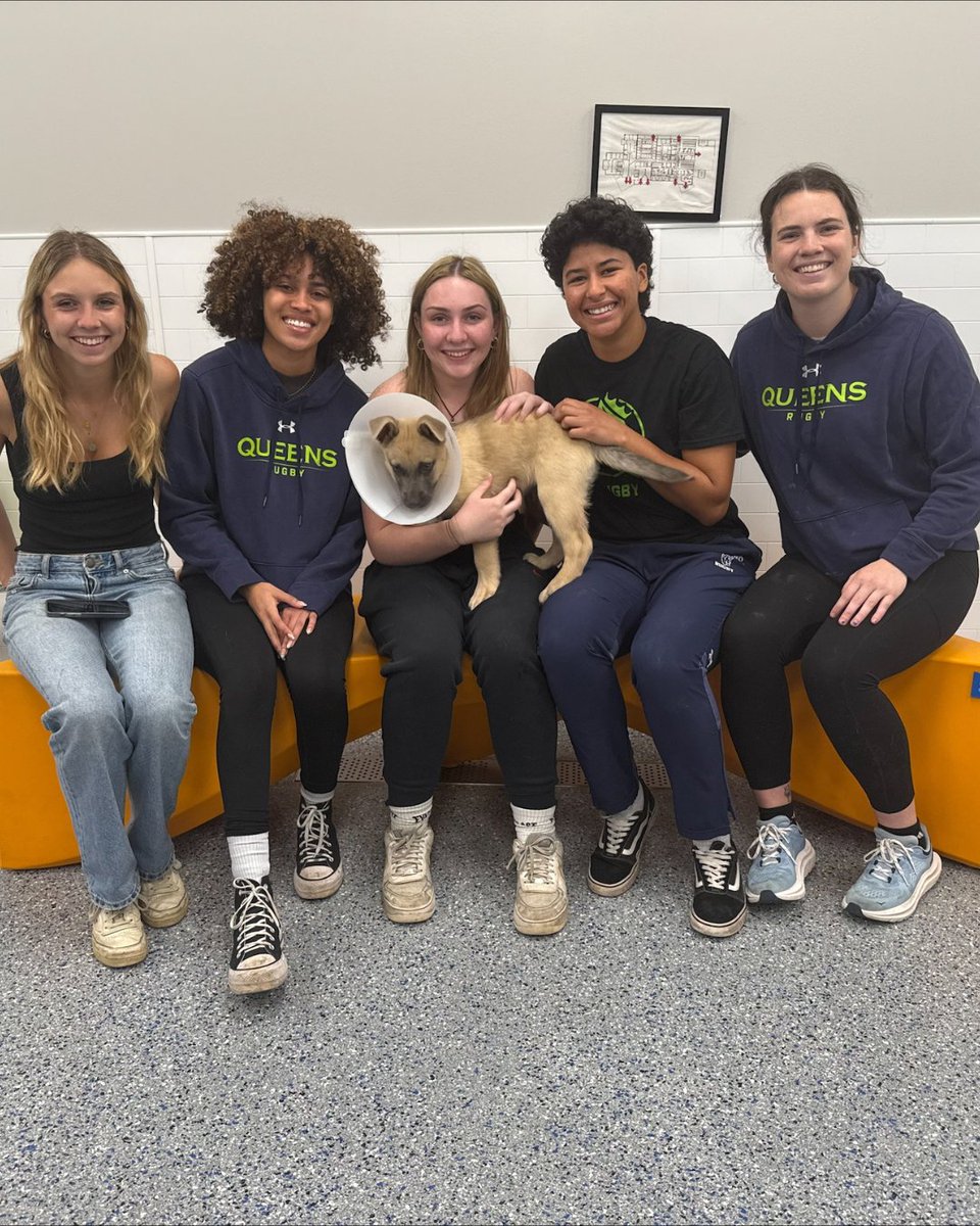 Humane Society of Charlotte tweet media