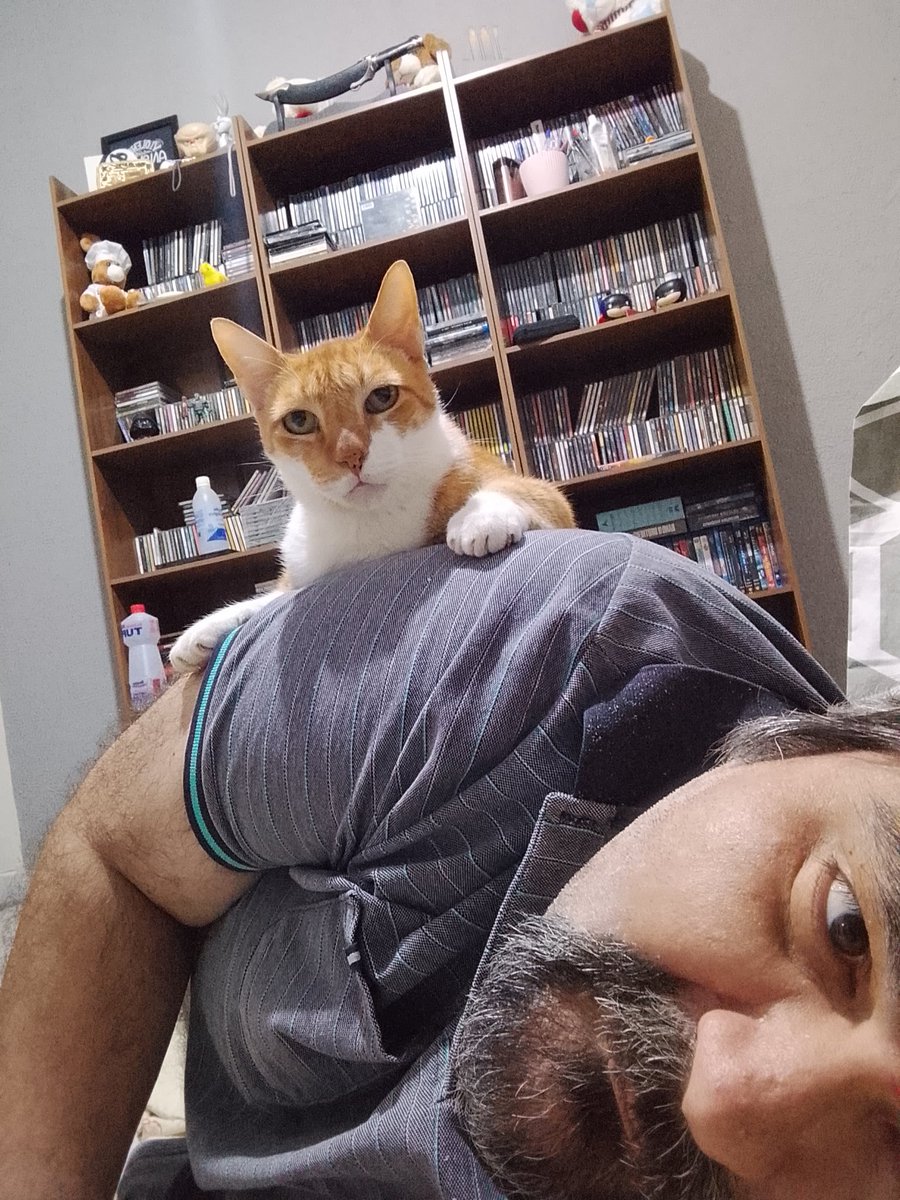 Gilson Lorenti tweet media