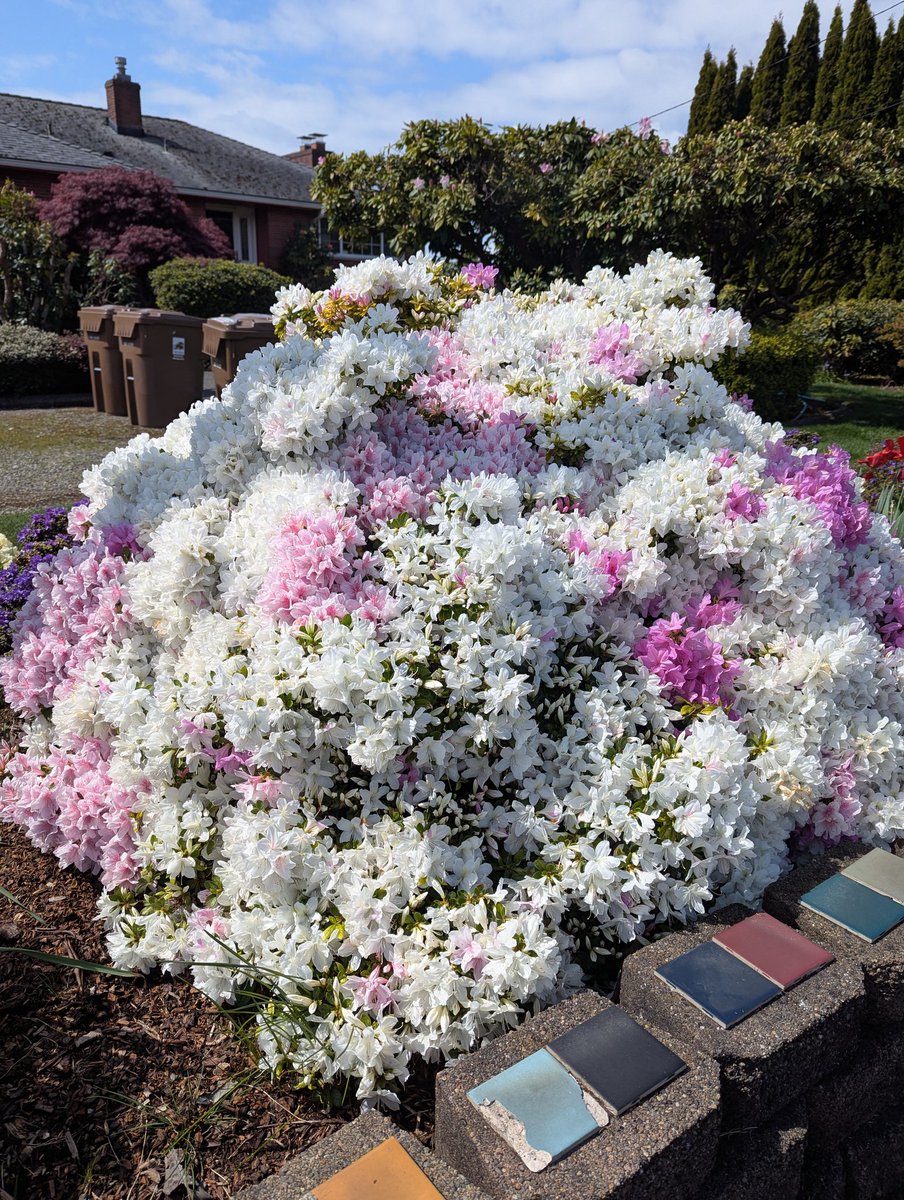 Saturday Night Soup for the Soul🎵🌈🍒 tweet media