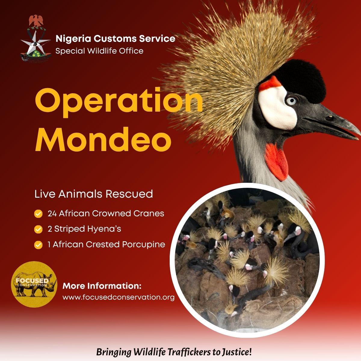 Focused Conservation tweet media