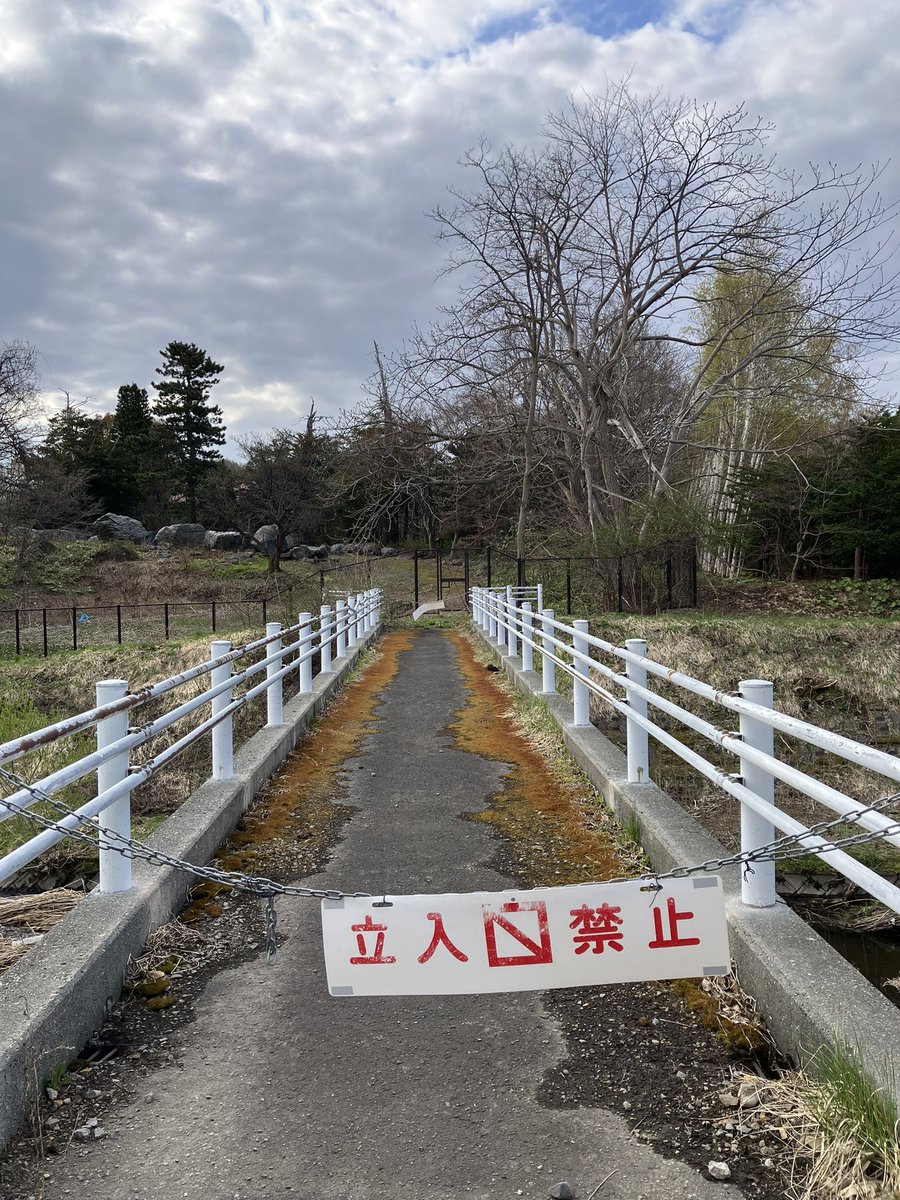 地獄どんぐり tweet media