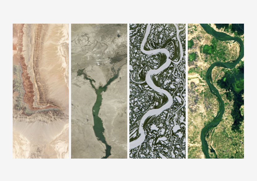 This has been my favorite thing all day

My name is so snake-like… it pleases me