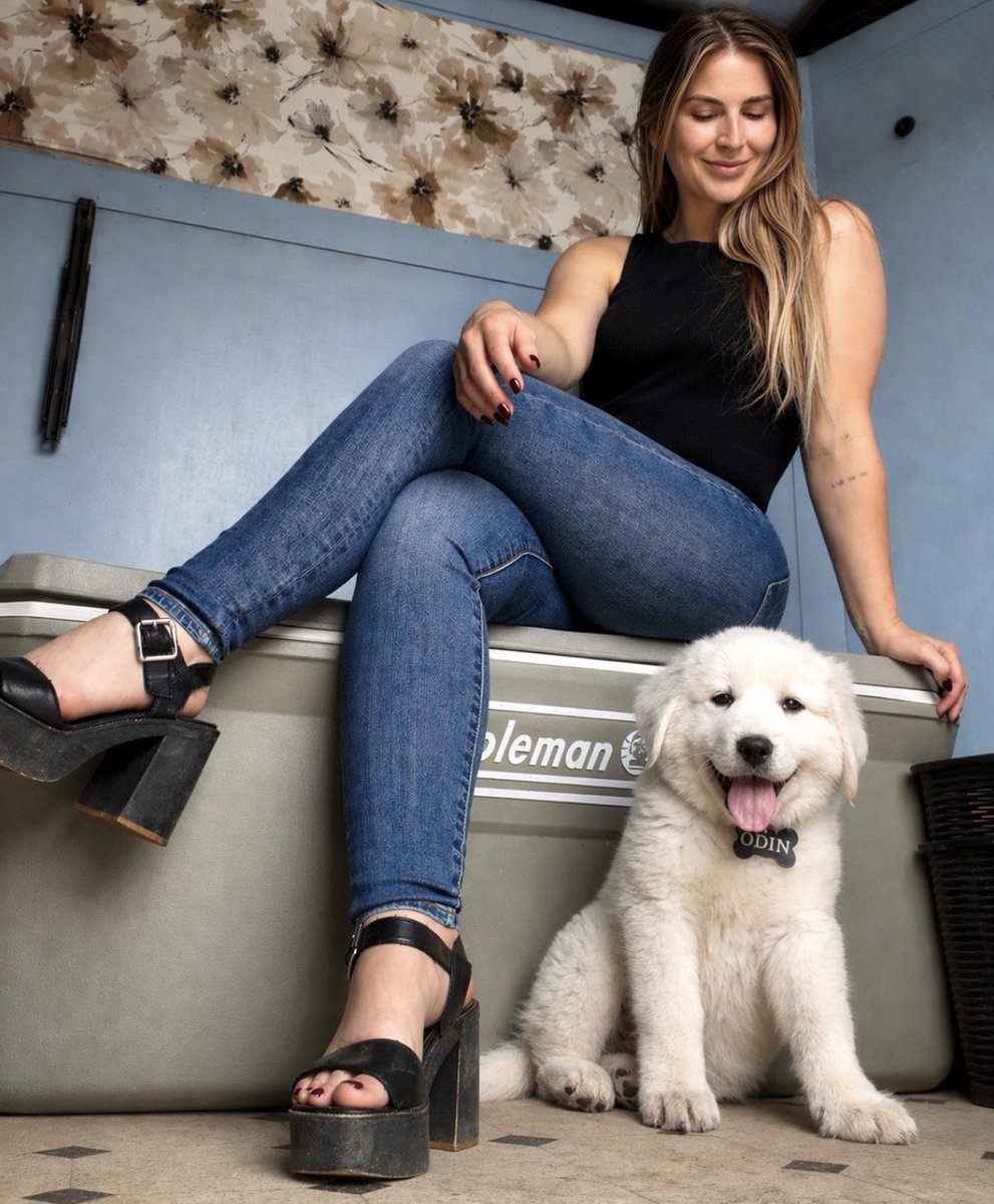 LWH132's tweet image. Deliveries secured… Odin’s on duty 🐾💪

#greatpyrenees #farming #homesteading #westtexas #dairy #homestead #cows #dairycows #brownswiss #rawmilk #nigeriandwarfgoats #nigeriandwarf #dairygoats #milk #goat #goatmilk #homestead #saanendairygoats #saanen