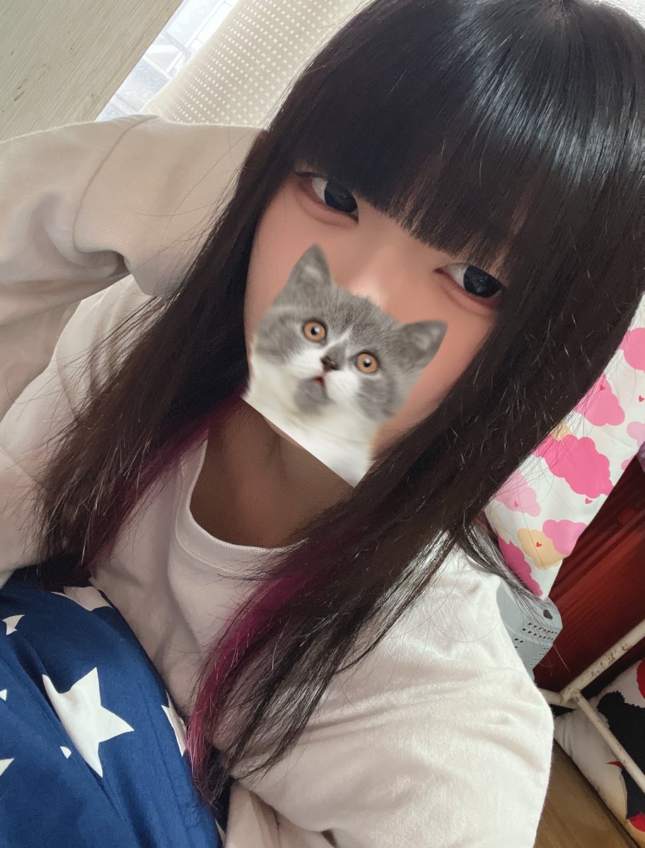 だちゃかも🐈‍⬛ tweet media