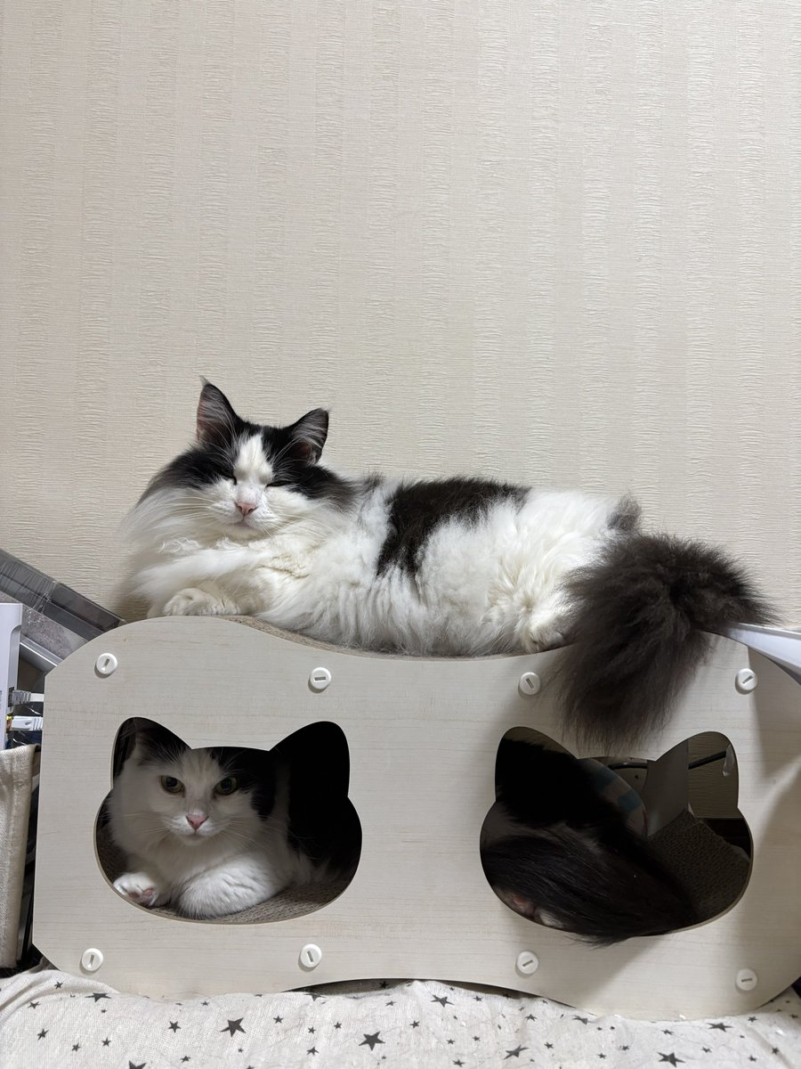 二階建てマンション。