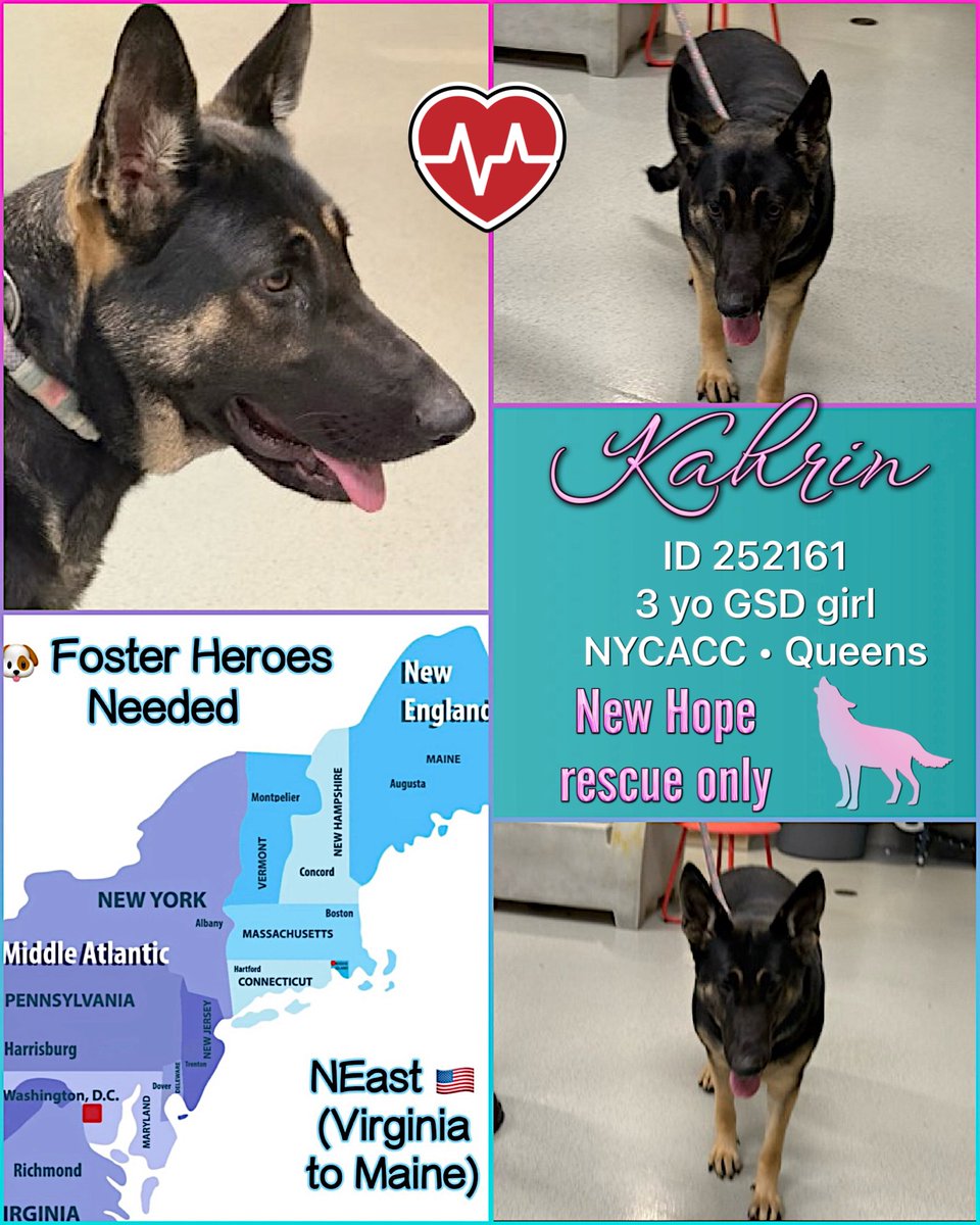 Malimum 🇩🇪 tweet media