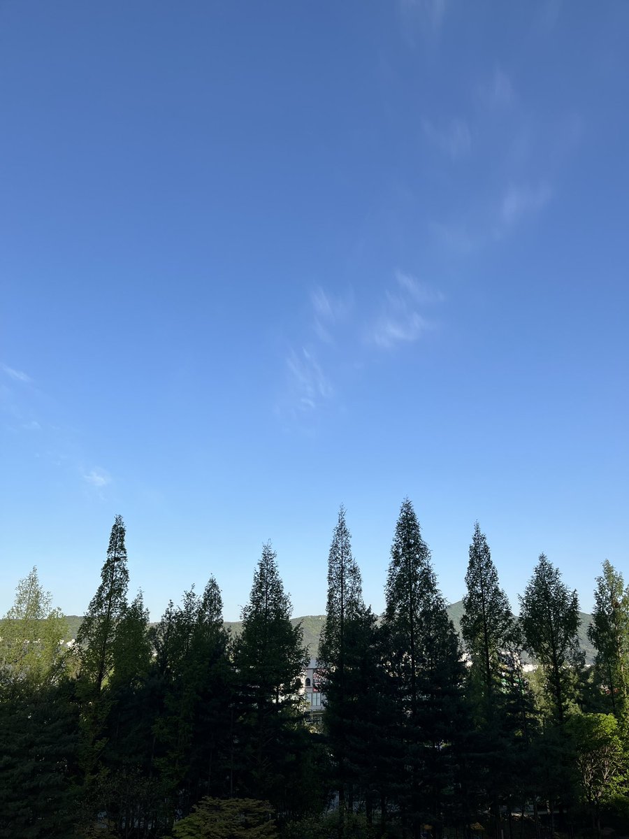 🇰🇷Kimsk🎭 tweet media