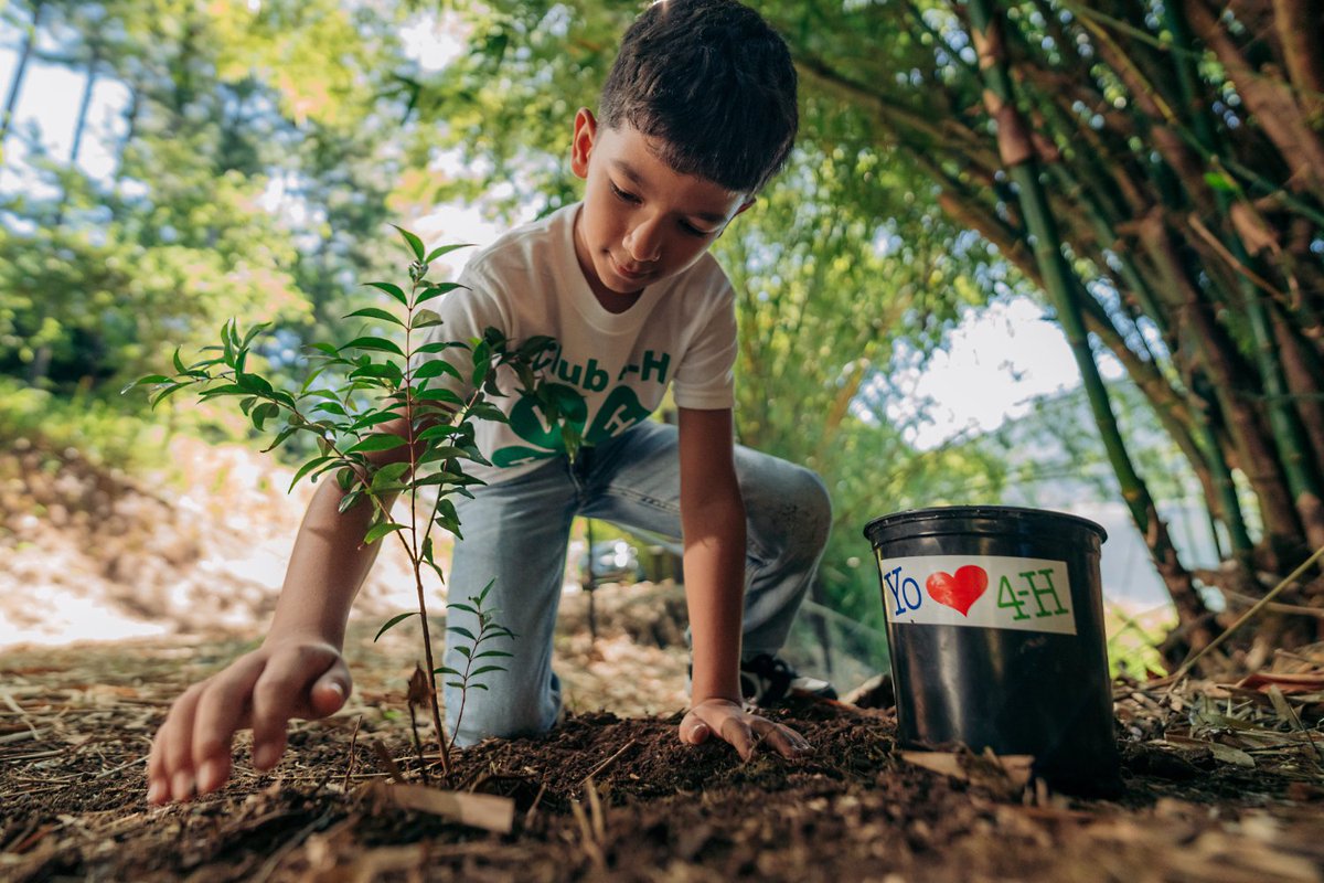 jameslynn's tweet photo. Ford Abre convocatoria para Donativos Ambientales Ford 2026
https://t.co/z4HWBiMPzJ @fordpuertorico https://t.co/fzS7MYeYVN