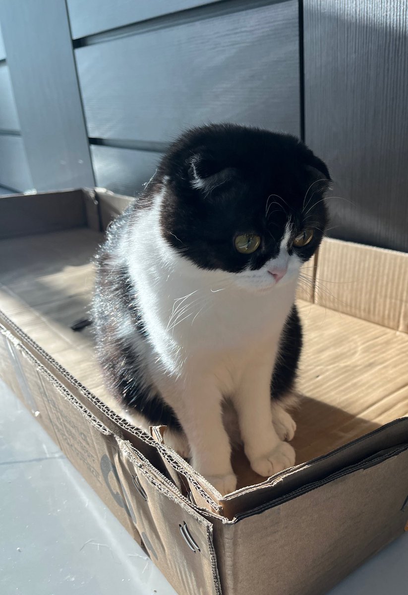 🇰🇷Kimsk🎭 tweet media