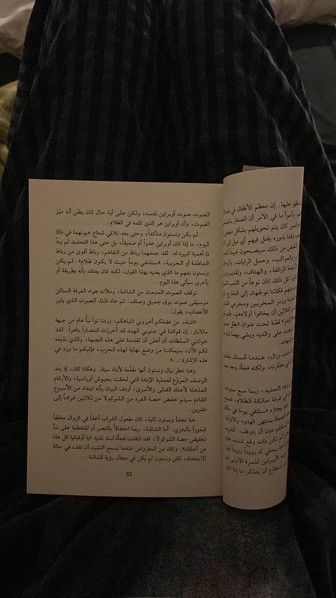 lady lady tweet media