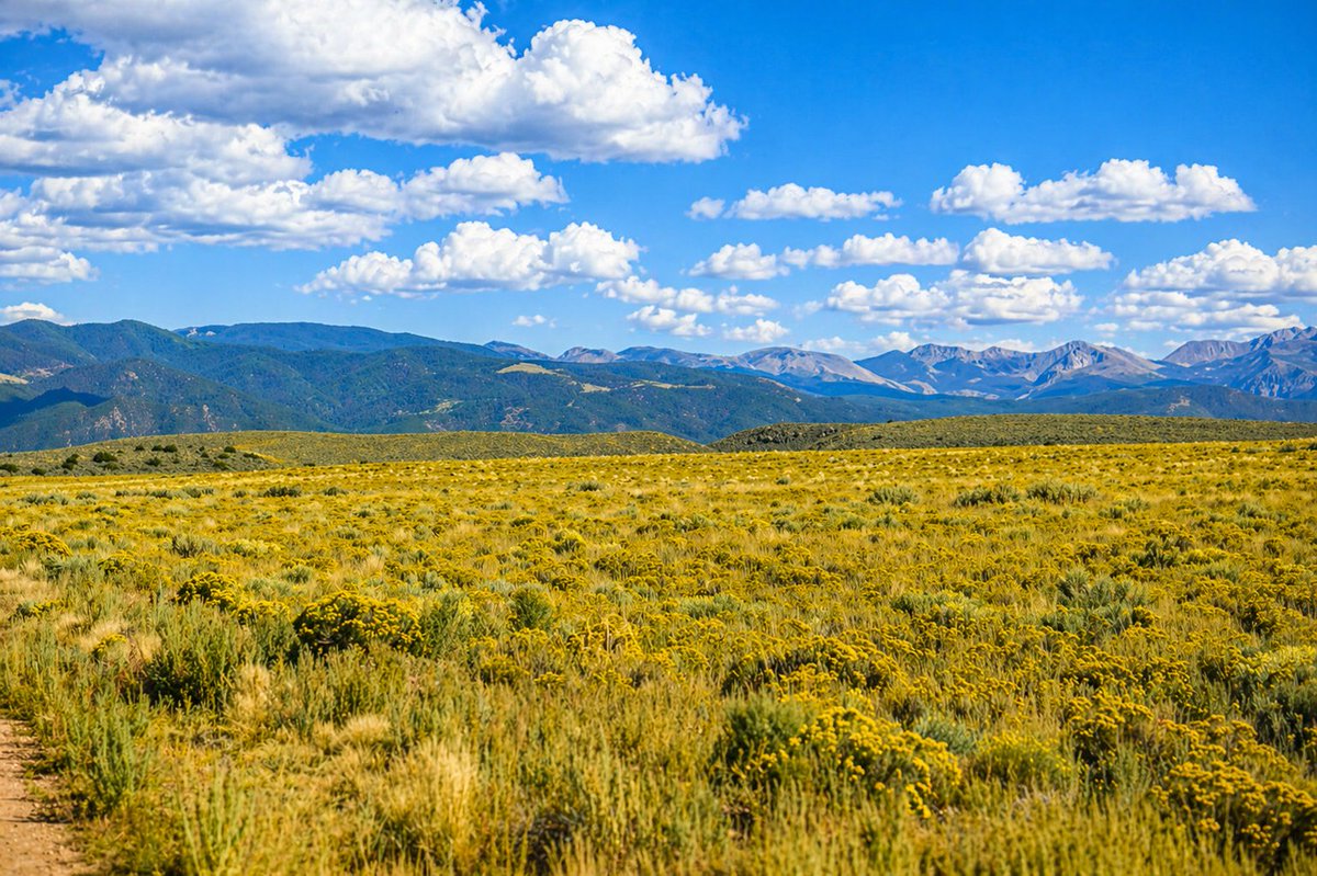 HousesLink's tweet image. 5.1 Acres in Colorado. $169/mo.
For more details, click the link below
landcentury.com/land-for-sale/…

#landcentury #land #LandForSale #Colorado #sale #property #acreage #foryou #ColoradoRealEstate #buyland #property #realestate #realtor #fypシ゚