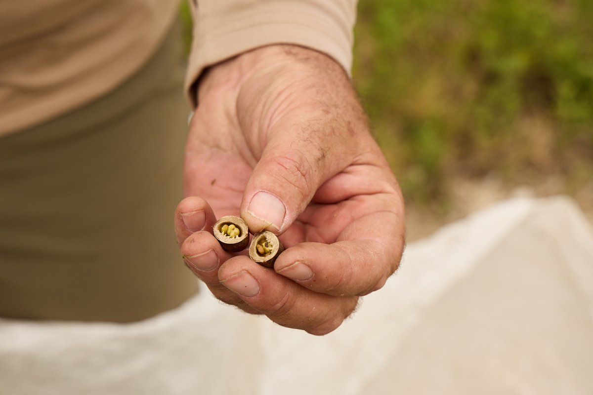 The Nature Conservancy in Texas tweet media