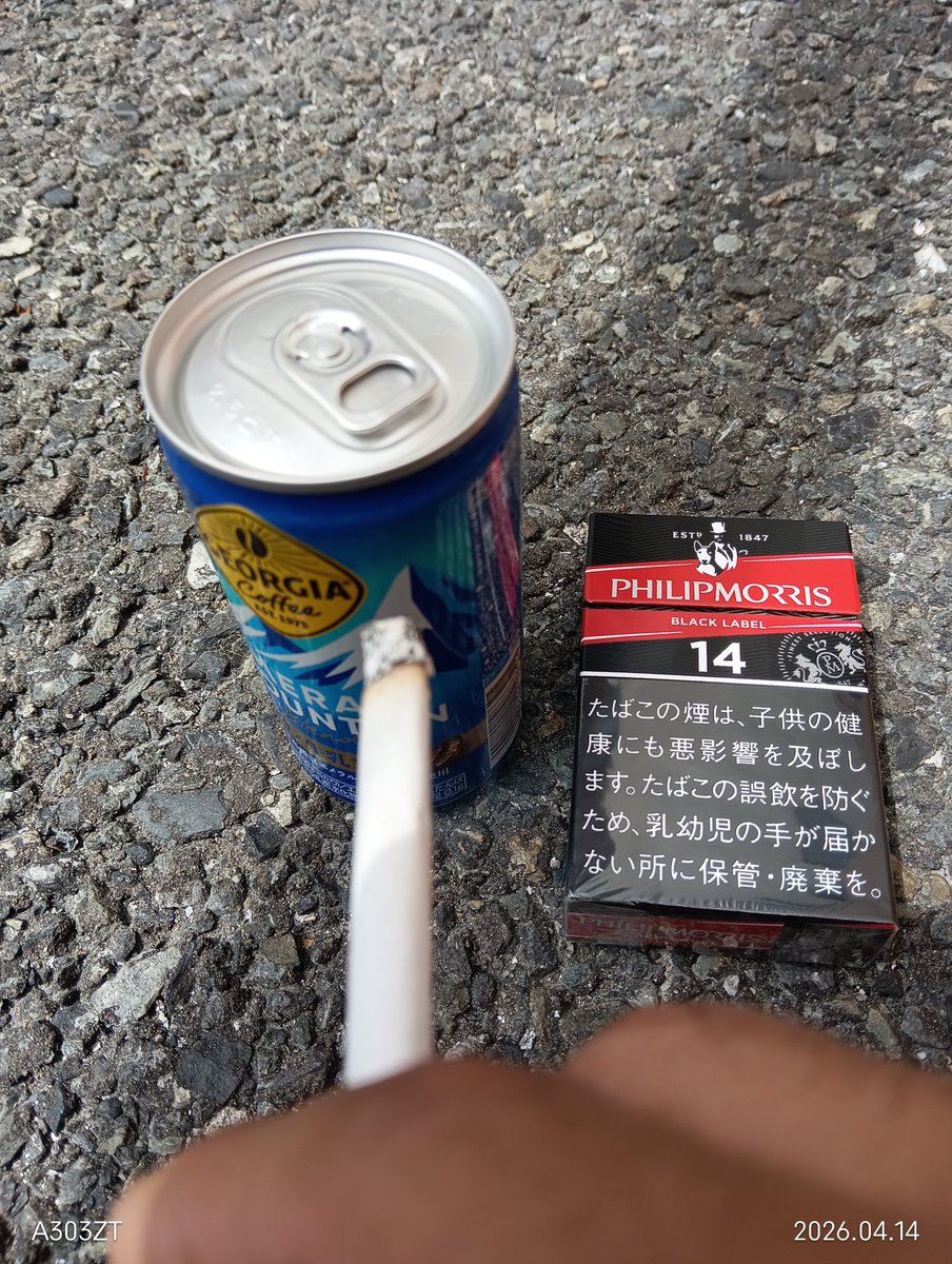 クルキチ。 tweet media