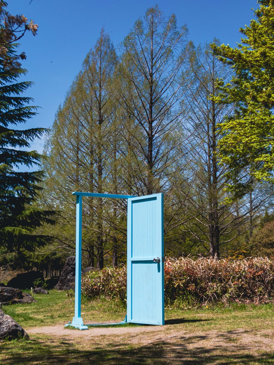 空乃Mikan tweet media