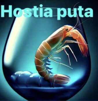 coco ₊˚⊹ ᰔ tweet media