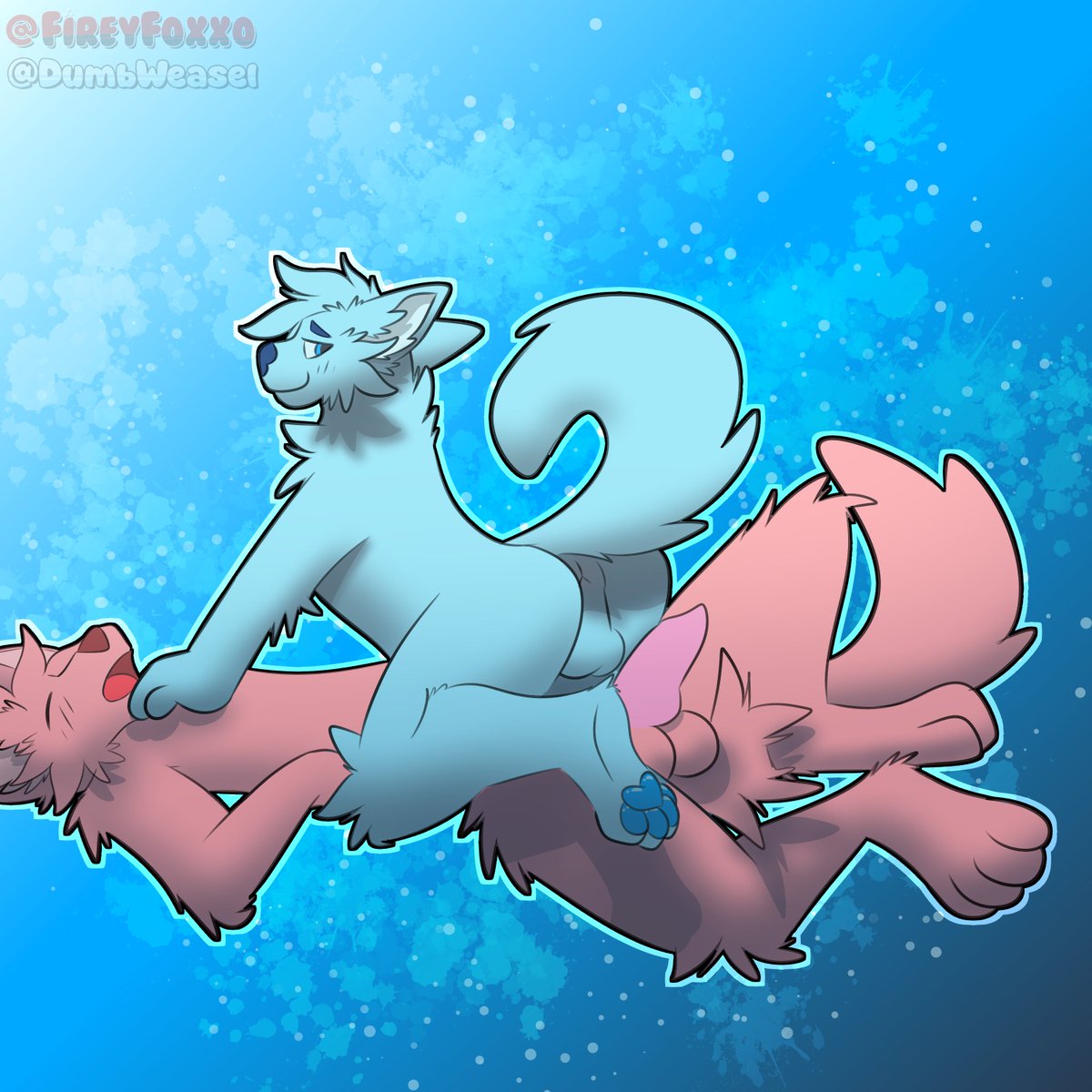 lewd fox! tweet media