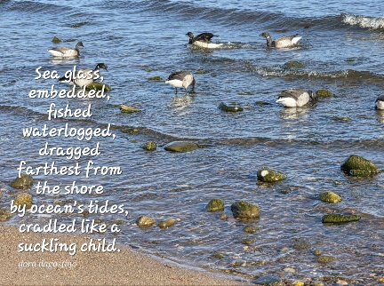 ArtistDora's tweet photo. #vss365 #fished #WritingCommunity #PoetryCommunity #MicroPoem
My 📸 Busy couple of days. Will catch up with everyone later. https://t.co/eFCqWJvMgo