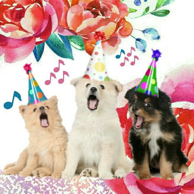 haditafresa's tweet image. feliz cumpleaños aiden de kiuar 💗 ꜝ❤︎⬞♪ #happybday te amo