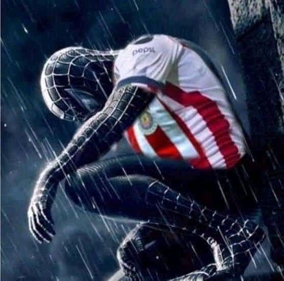 i r e n e tweet media