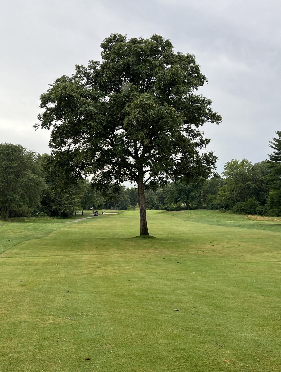 Tour Pro 🏌️‍♂️ tweet media