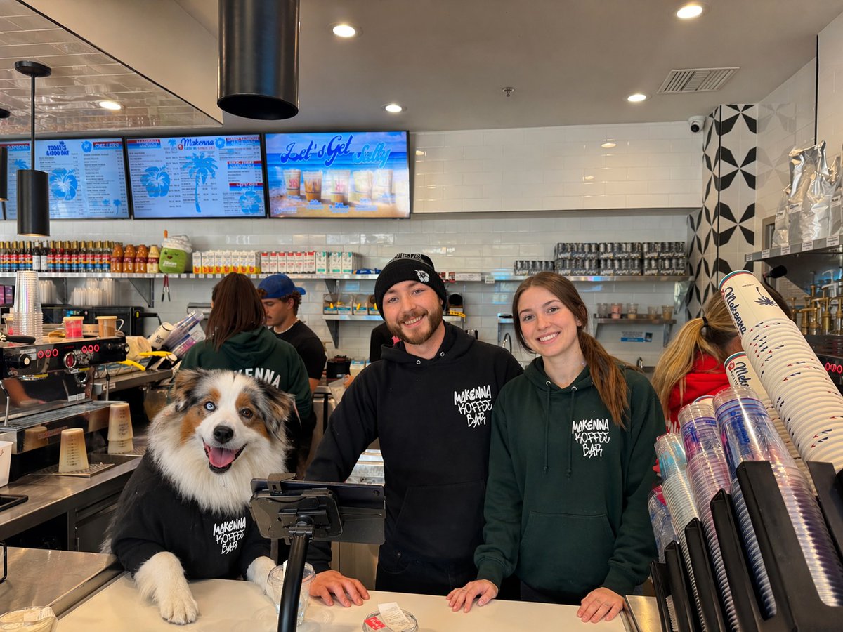 blissdog's tweet image. Happy vibes at #MakennaKoffee #PaigeTurner, #dogs, #dogwithjob
chatgpt.com/s/m_69ea9d82ab…