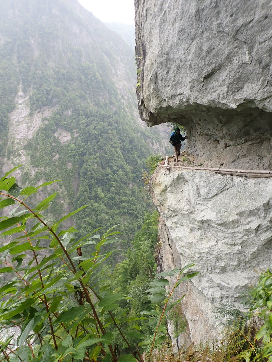 ゆたさん tweet media