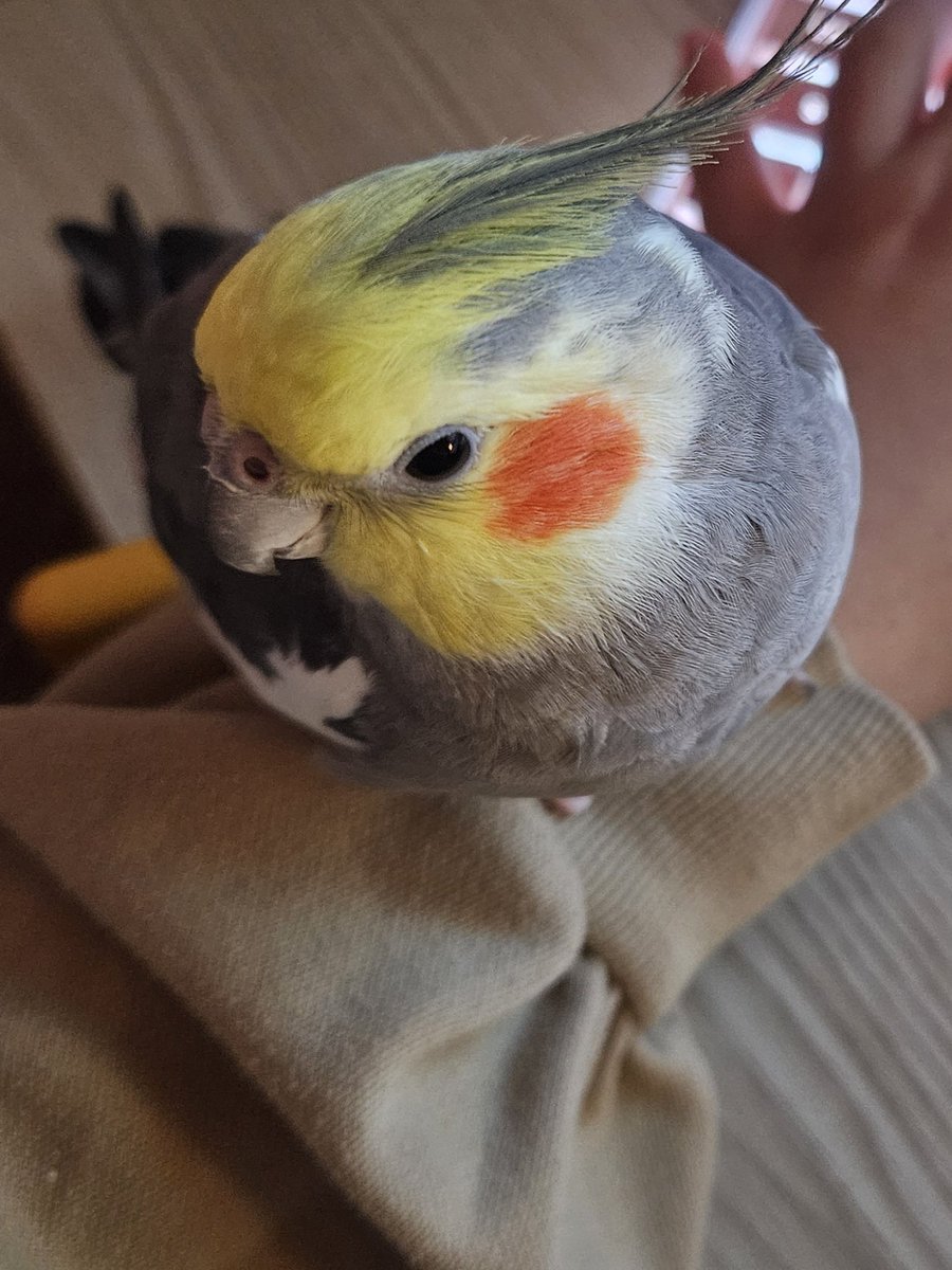 정도갹 tweet media