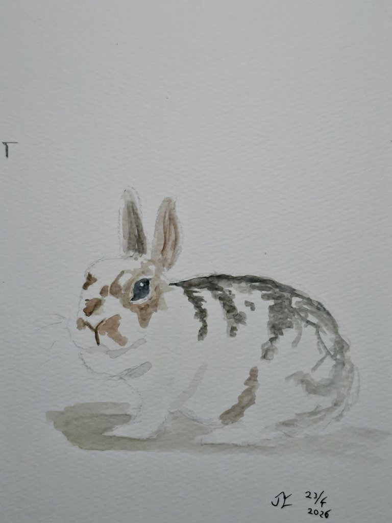 Bob byggare tweet media