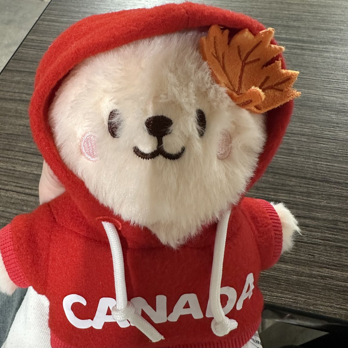 john klingberg akgae 🦈 tweet media