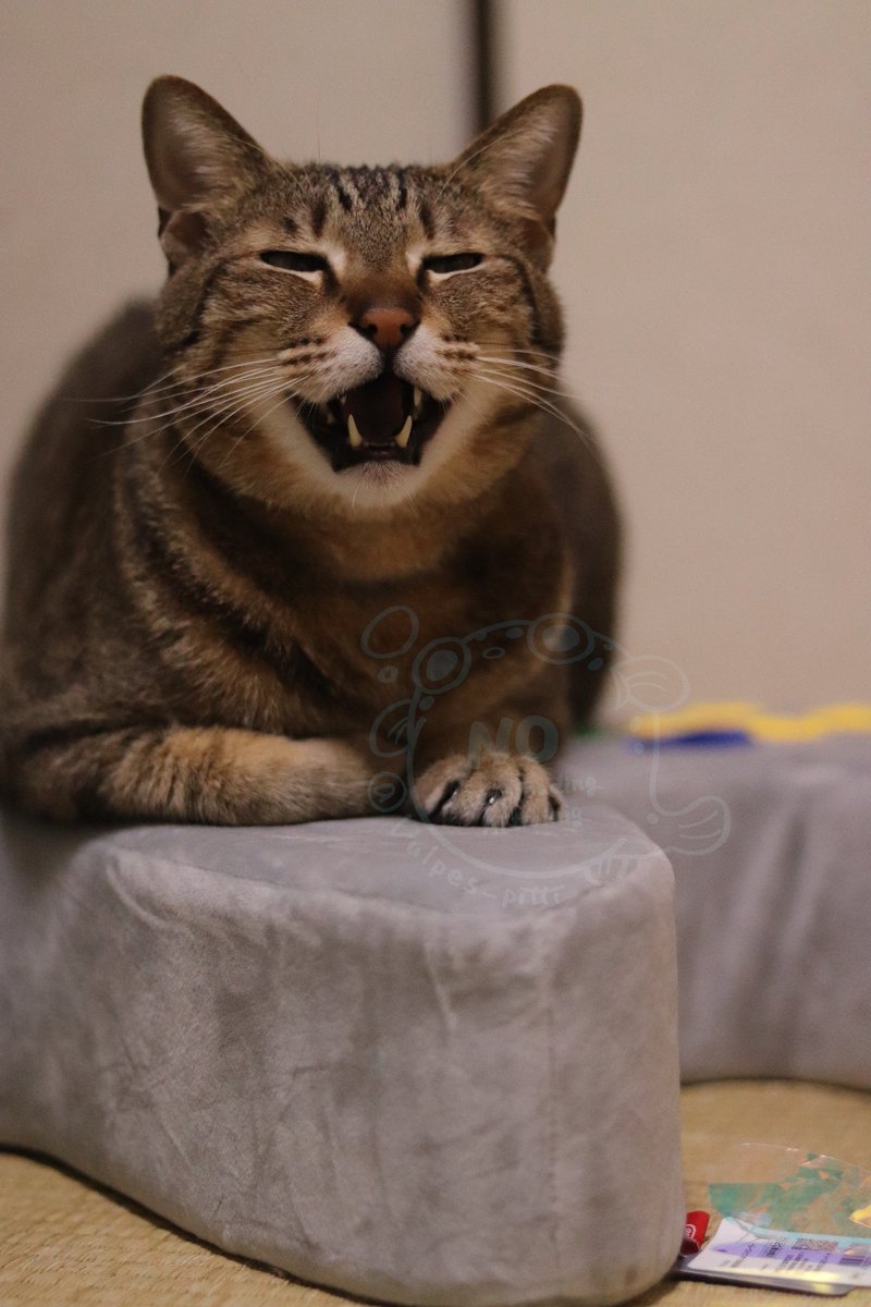 働きたくない！！！！！！！！