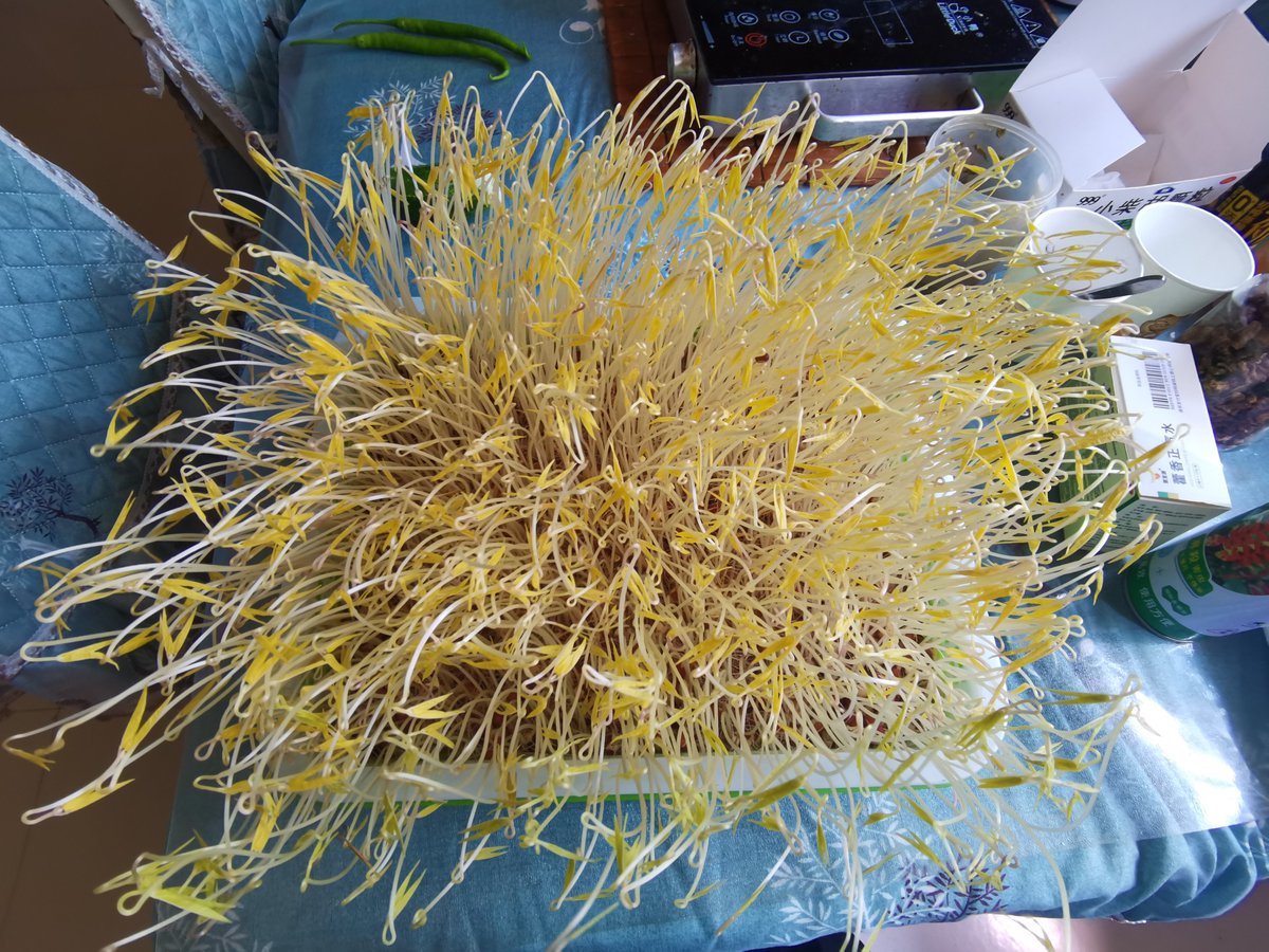 clonemyweb tweet media