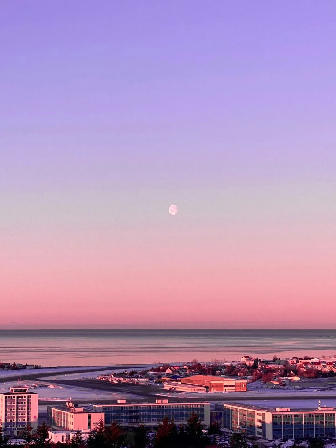 Dave Watson  tweet media