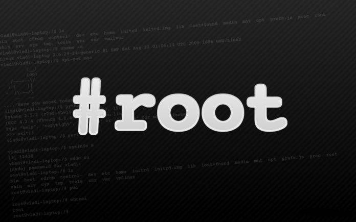root da fiel tweet media