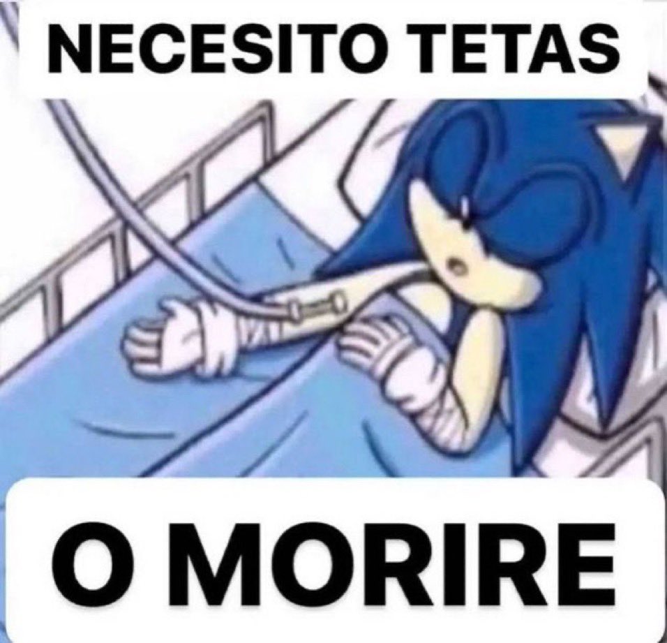 chincheto pirata somali (@wikipistacho) on Twitter photo 