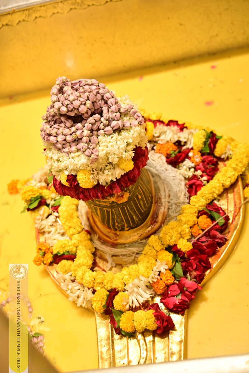 ShriVishwanath's tweet image. श्री काशी विश्वनाथ जी की सप्तऋषि आरती I
#kashivishwanath #kashi #hindu #sanatandharm