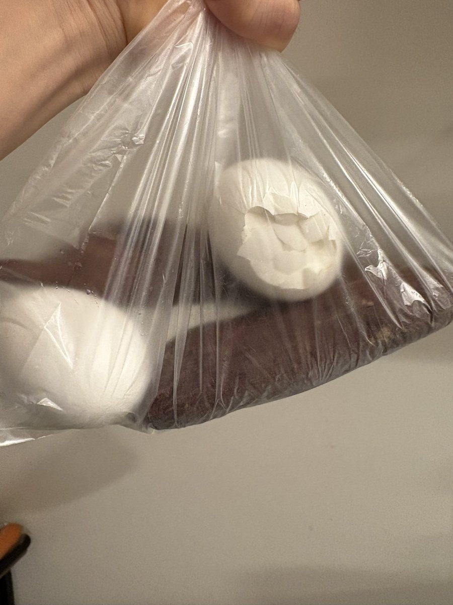 今日の弁当がワイルドすぎる