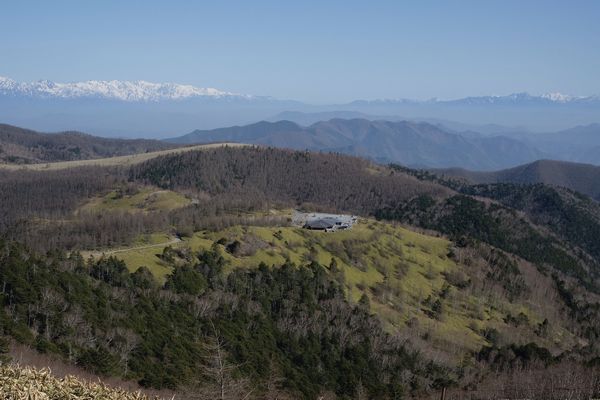 ougatouhotel's tweet image. 4月24日　7：30現在空室状況

26日　東館ツイン254号室
27日　東館和洋室
28日　東館和洋室
29日　南館和洋室　南館和室
30日　南館和洋室　南館和室　東館和室

5月
6日　東館ツイン　東館和洋室