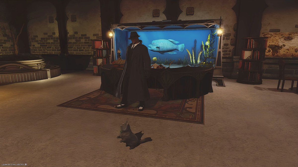 Raguna🎶 tweet media