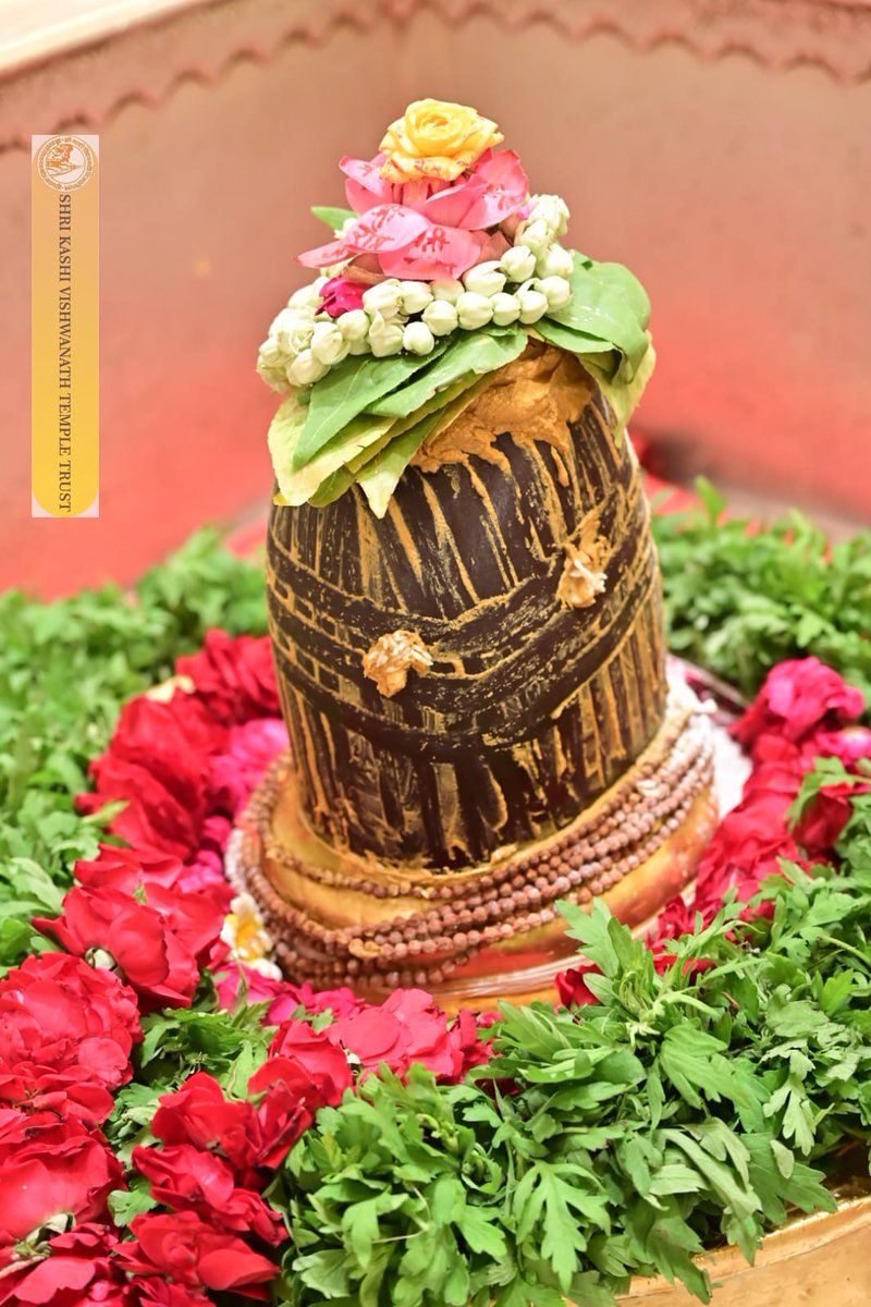 ShriVishwanath's tweet image. श्री काशी विश्वनाथ जी की श्रृंगार आरती I
#kashivishwanath #kashi #hindu #sanatandharm