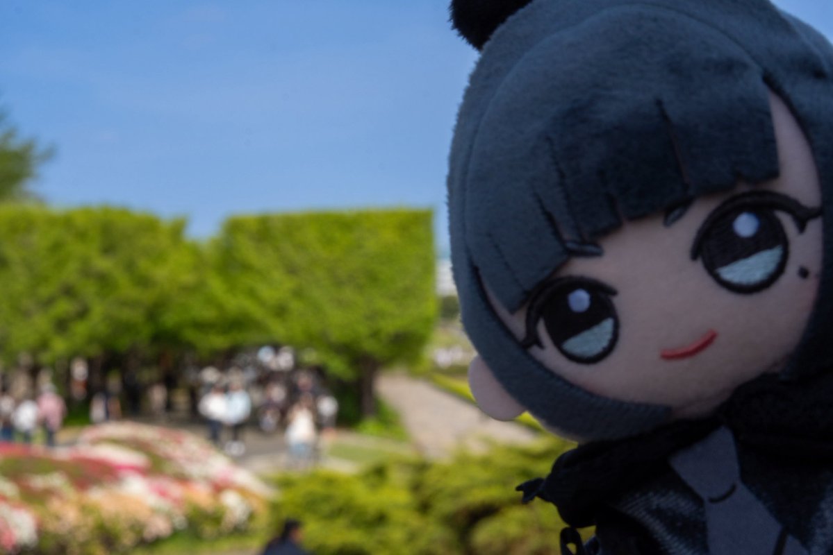 ゆとり猫P tweet media