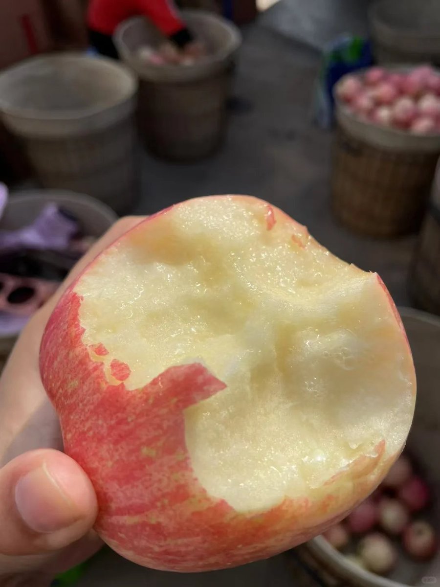 Tison T.Thomas tweet media