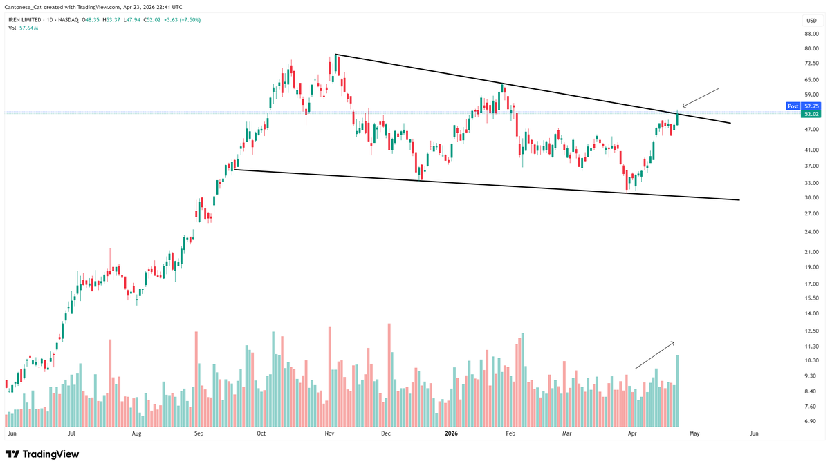 Cantonese Cat 🐱🐈 tweet media