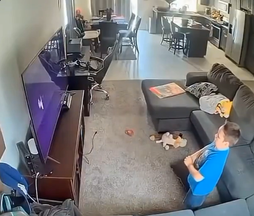 Bella Clark tweet media