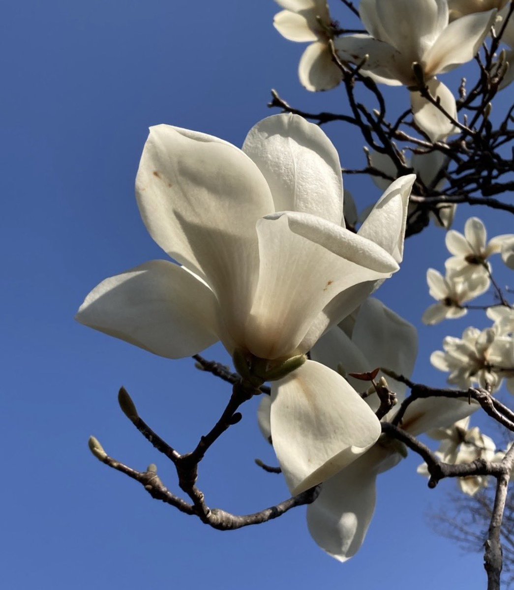 麗𓂃◌𓈒𓐍 tweet media