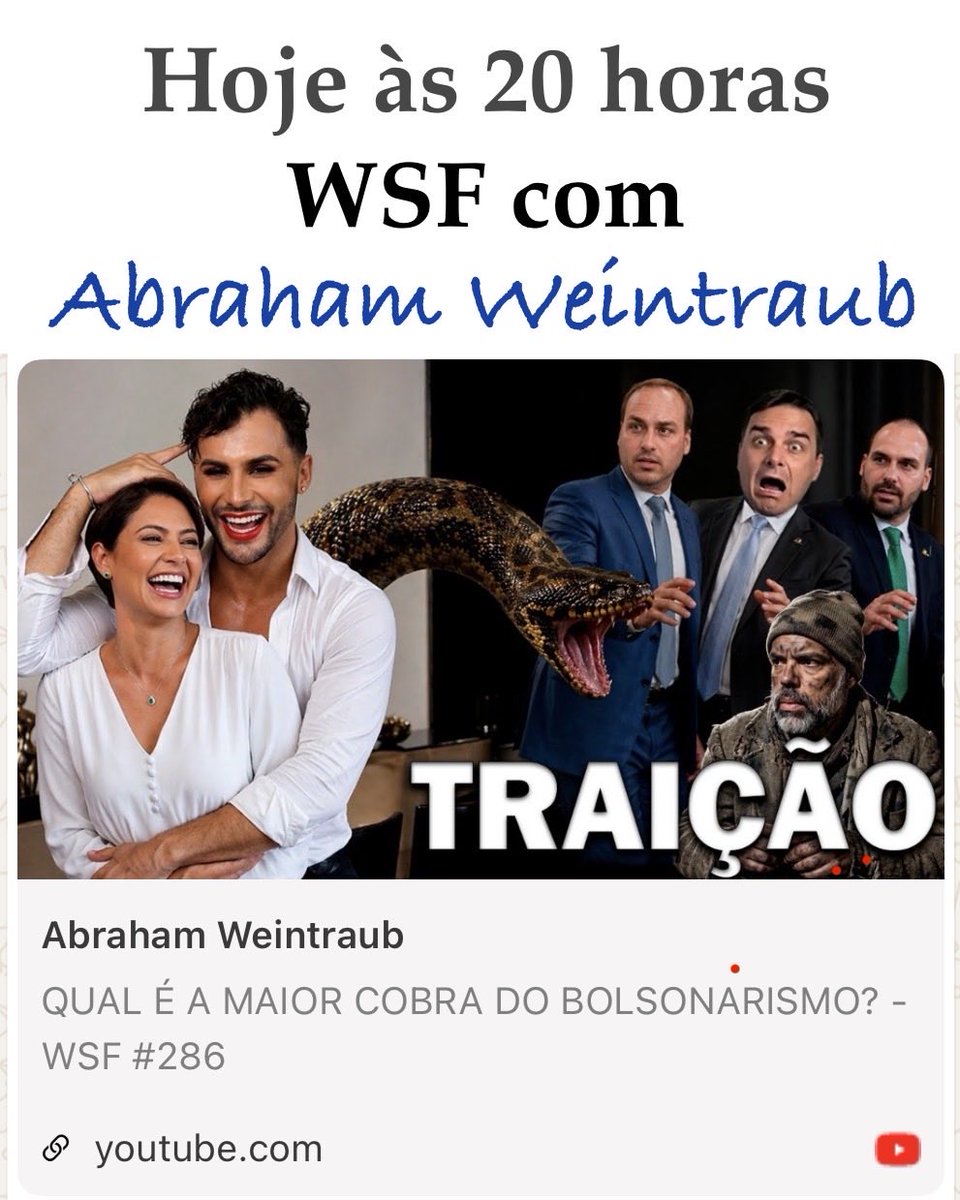 Sandra Wendy Weint 🇧🇷 tweet media