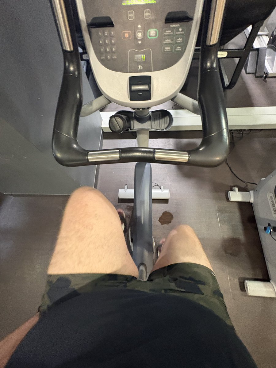 Bator Bear 🧸 NYC tweet media