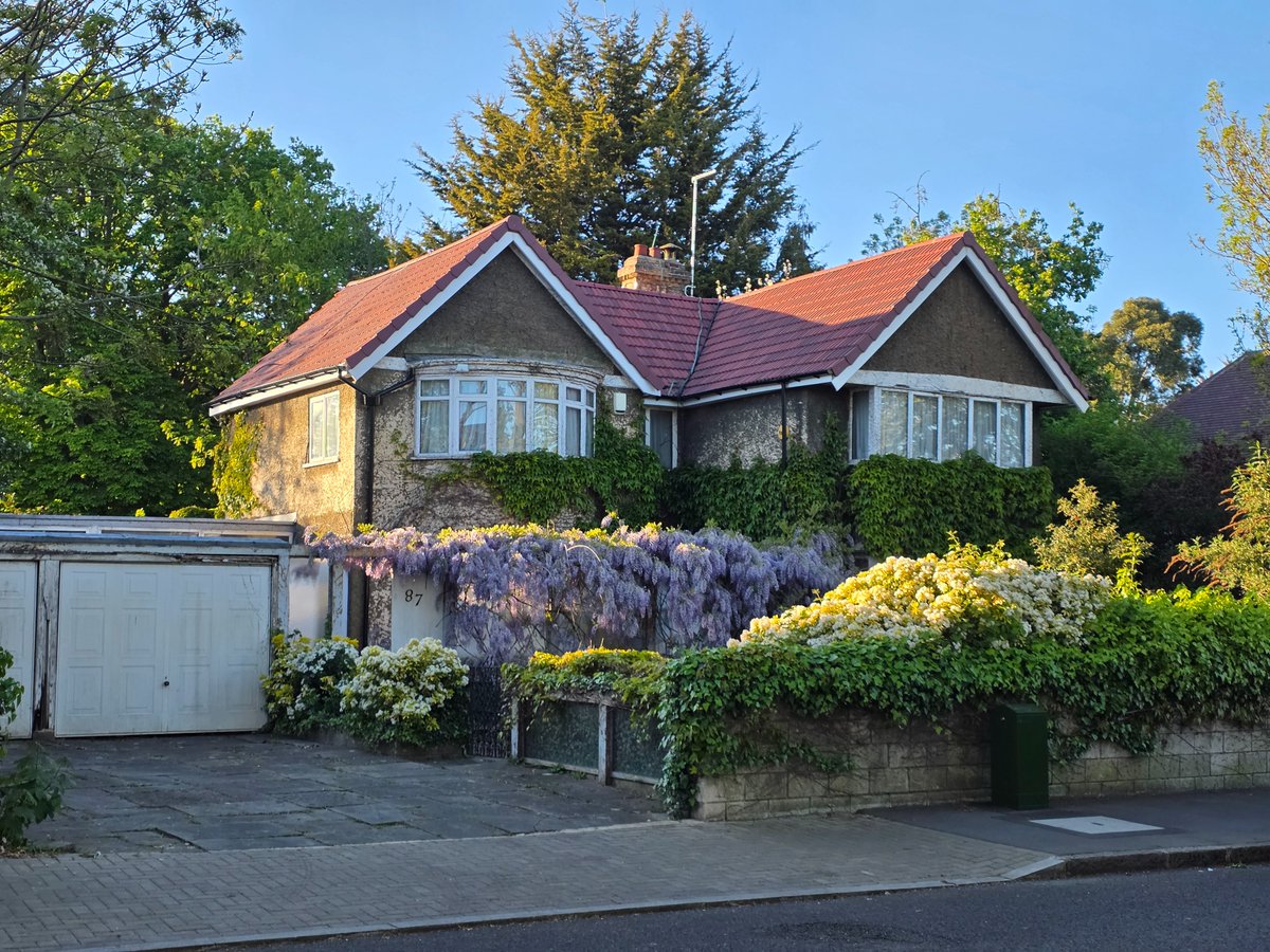 Arnav Gupta tweet media